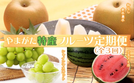 《2026年発送先行予約》やまがた特産フルーツ定期便（全3回） マスカット ぶどう ブドウ 葡萄 デザート フルーツ 果物 くだもの 果実 食品 山形県 FSY-0098