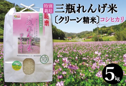 〈クリーン精米〉特別栽培 三瓶れんげ米 コシヒカリ 5kg【令和6年産 先行予約 こしひかり お米 5kg 2024年産 特別栽培米 エコロジー米 無化学窒素肥料 減農薬米】