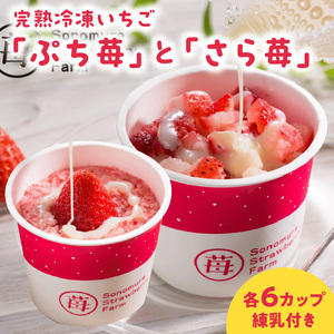 園村苺園 宇土産 完熟冷凍いちご「ぷち苺」と「さら苺」各6カップ 練乳付き _U74-0036