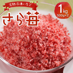 園村苺園 熊本県宇土産 完熟冷凍いちご「さら苺」1kg（500g×2パック） _U74-0041