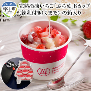 園村苺園　完熟冷凍いちご！「ぷち苺」８カップ練乳付き in くまモンの箱入り _U74-0031