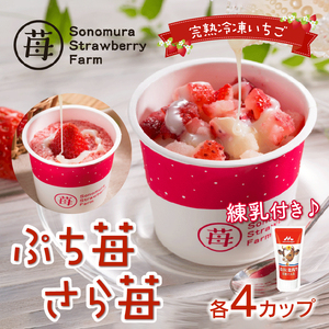園村苺園完熟冷凍いちご！「ぷち苺」と「さら苺」各4カップ 練乳付き In くまモンの箱入り _U74-0037