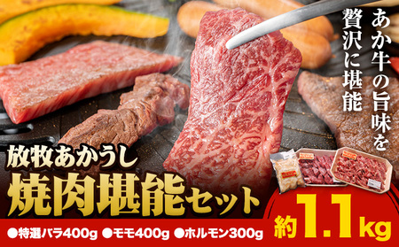 あか牛 焼肉 堪能セット 1.1kg 特選バラ モモ ホルモン 赤身|焼肉正