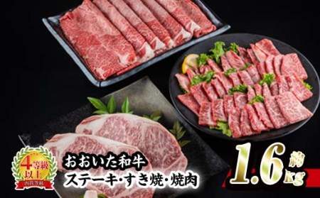 おおいた 和牛 3種 セット (合計1.66kg・サーロインステーキ180g×2枚・ウデ肉700g・焼肉300g×2P) 国産 豊後牛 BBQ 赤身 バーベキュー 惣菜 やきにく おかず 百年の恵み 【BD186】【西日本畜産 (株)】