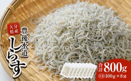 豊後水道産 しらす (合計800g・100g×8袋) 冷凍 しらす しらす丼 丼ぶり 魚 さかな ご飯 ごはん 炒飯 チャーハン パスタ サラダ 国産 大分県 パック 小分け 便利 大分県 佐伯市【CT08】【 (有)高橋商店】