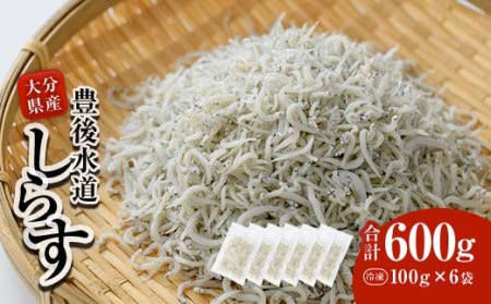  豊後水道産 しらす (合計600g・100g×6袋) 冷凍 しらす しらす丼 丼ぶり 魚 さかな ご飯 ごはん 炒飯 チャーハン パスタ サラダ 国産 大分県 パック 小分け 便利 大分県 佐伯市【CT09】【 (有)高橋商店】