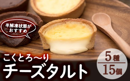 こくとろ～り チーズタルト (合計15個・5種各3個) チーズ スイーツ スウィーツ 菓子 焼き菓子 洋菓子 おやつ 詰め合わせ セット 個装 大分県 佐伯市【ER023】【(株)古川製菓】