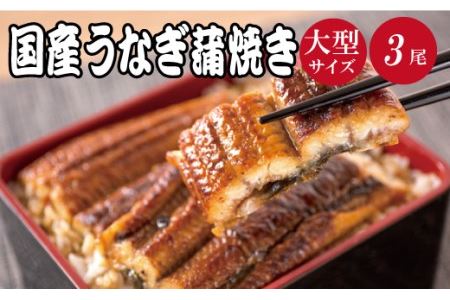 うなぎ 国産鰻蒲焼き ３尾【uot303A-3】
