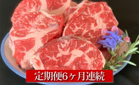 【定期便】常陸牛すね肉500g×2　6ヶ月連続お届け 1kg 合計6kg 牛スネ肉 スネ肉 スネ アウトドア お肉 牛肉 肉 常陸牛 国産 冷凍 肉じゃが カレー 藤井商店 お取り寄せ 定期便 定期 6回 6ヶ月 茨城県 守谷市 ※沖縄県・離島への配送不可