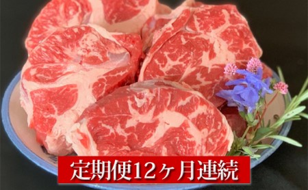 【定期便】常陸牛すね肉500g×2　12ヶ月連続お届け 1kg 合計12kg 牛スネ肉 スネ肉 スネ アウトドア お肉 牛肉 肉 常陸牛 国産 冷凍 肉じゃが カレー 藤井商店 お取り寄せ 定期便 定期 12回 12ヶ月 1年 茨城県 守谷市 ※沖縄県・離島への配送不可