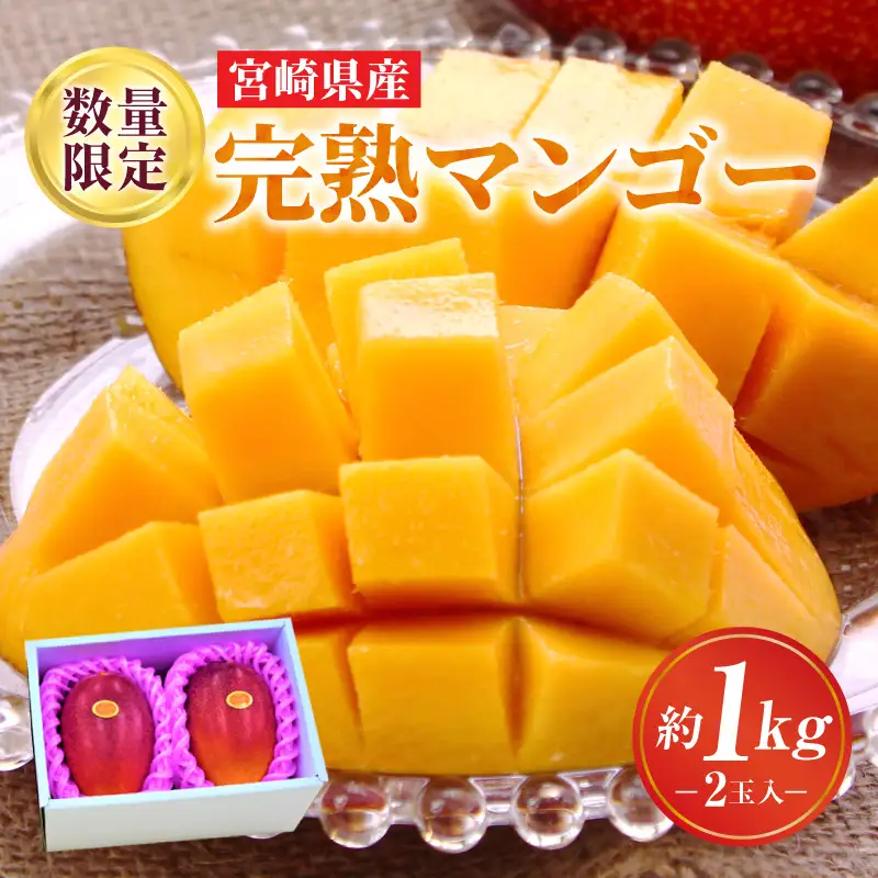 マンゴー 完熟 マンゴー 期間限定[宮崎 A3L 2玉 約1kg]