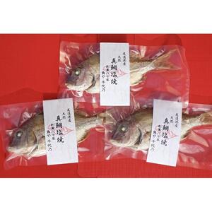 天然真鯛の塩焼き　３尾　～お祝い・お食い初め等におすすめ～