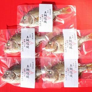 天然真鯛の塩焼き　５尾　～お祝い・お食い初め等におすすめ～