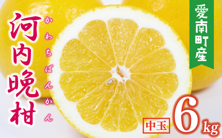 【数量限定】 河内晩柑 中玉 6kg みかんの山祥 河内晩柑
