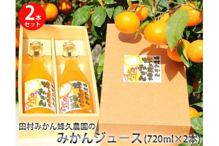 田村みかん蜂久農園のみかんがっつりしぼったでぇ　みかんジュース(720ml×2本) ≪果実 飲料 100% ビタミン ストレート 贈答 ギフト 有田産≫