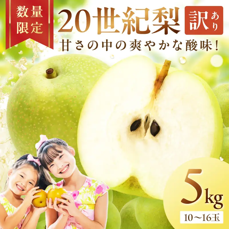 【訳あり】 二十世紀梨 5kg（10～16玉）《8月下旬以降発送》梨