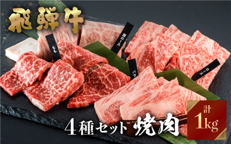 飛騨牛 焼肉 250g×4種 食べ比べ 1kg JAひだ 焼肉 [S202]