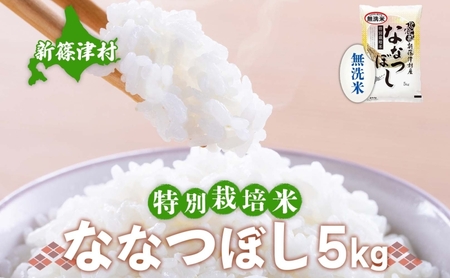 北海道 特別栽培 令和7年産 ななつぼし 5kg 無洗米 精米 米 白米 お米  ごはん ご飯 ライス 道産米 ブランド米 新しのつ米 ふっくら 食味ランキング  産地直送 お取り寄せ カワサキ森田屋 送料無料