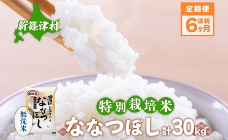 定期便 6ヵ月 北海道 特別栽培 令和7年産 ななつぼし 5kg 無洗米 精米 米 白米 お米  ごはん ご飯 ライス 道産米 ブランド米 新しのつ米 ふっくら 食味ランキング  産地直送 カワサキ森田屋 送料無料 