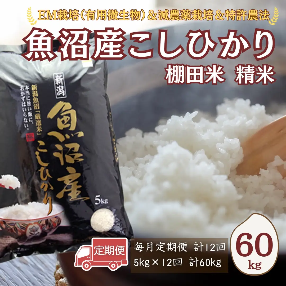 【令和7年 定期便】魚沼産コシヒカリ棚田米 60kg(5キロ×12回) 佐藤農場 | 新潟県 コシヒカリ おこめ