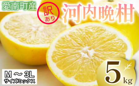 訳あり 河内晩柑 愛南ゴールド 5kg 【河内晩柑】
