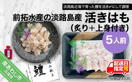 淡路島産活きはも（炙り＋上身付き）5人前　◆配送6月3日～8月30日