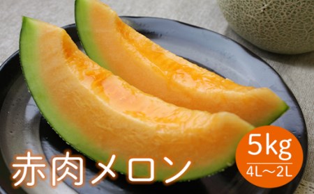 《先行予約 2026年度発送》山形県産庄内メロン約5kg【赤肉メロン】4L～2Lサイズ 赤肉メロン メロン 赤肉 デザート フルーツ 果物 くだもの 果実 食品 山形県 FSY-0399