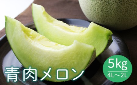 《先行予約 2026年度発送》 山形県産庄内メロン5kg【青肉メロン】4L～2Lサイズ 青肉メロン メロン 青肉 デザート フルーツ 果物 くだもの 果実 食品 山形県 FSY-0398