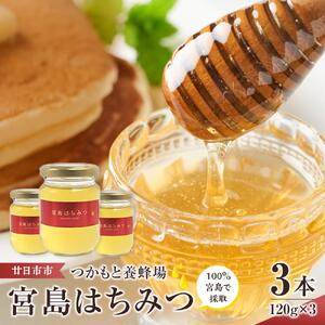 つかもと養蜂場の宮島はちみつ（３本セット）