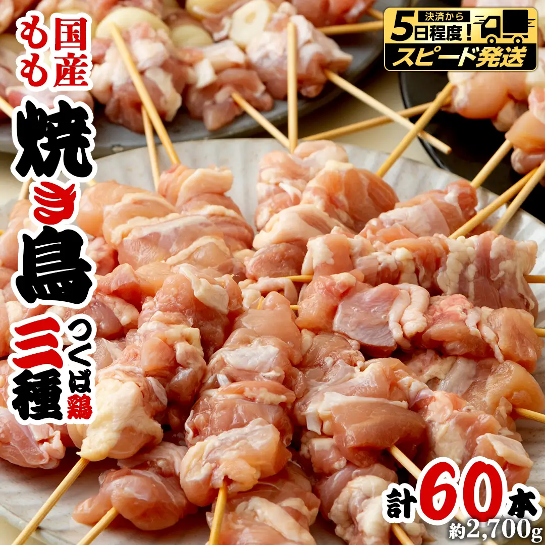 【 スピード 発送 】1本45g！合計約2700g！食べ応えバツグン、つくば鶏 焼き鳥 モモ 3種60本 セット （各20本入り）