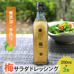 無添加手作り 梅サラダドレッシング（200ml×3本） _K02402