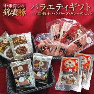 【ブランド豚肉】お米育ちの錦雲豚バラエティギフト（ハム類・餃子・ハンバーグ・カレーのセット）_FN0601