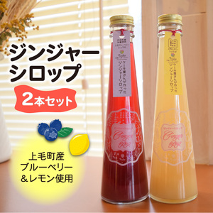【上毛町産ブルーベリー＆レモン使用】ジンジャーシロップ 2本セット_KT0302