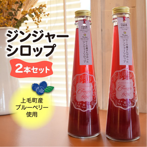 【上毛町産ブルーベリー使用】ジンジャーシロップ 2本セット_KT0502