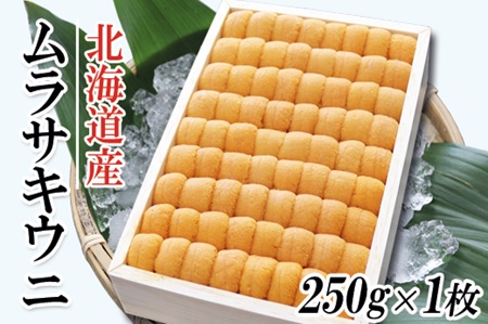 ムラサキウニ250g×1折 C-53006