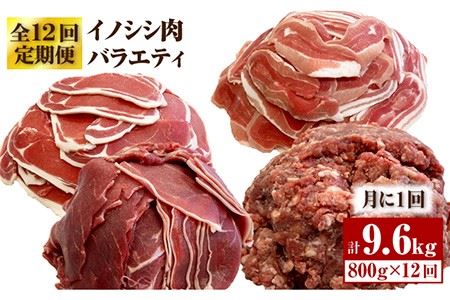 ≪脊振ジビエ≫イノシシ肉バラエティ12回定期便 総量9.6kg【ブイマート・幸ちゃん】 猪 佐賀 カレー ハンバーグ 焼肉 濃厚 さっぱり 小分け 新鮮 [FAL058]
