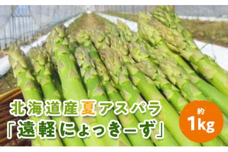 2026年夏アスパラ 1kg ( ふるさと納税 アスパラガス グリーンアスパラ 野菜 健康食材 天ぷら 炒め物 パスタ サラダ 大容量 北海道 遠軽町 えんゆう農業協同組合 ) en01-00006