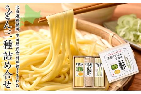 北海道えんがる名物 三種のうどん詰合せ (200g×3個) ( ふるさと納税 アスパラうどん かぼちゃうどん 豆の黒曜石うどん 人気 名物 うどん 北海道 遠軽町 株式会社　生田原振興公社 ) en01-00092