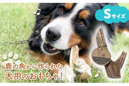  シカのおとしもの キミのたからもの（Ｓサイズ） ( ふるさと納税 犬のおもちゃ ペット用品 エゾ鹿 ハンドメイド 100％自然由来 手作り 北海道 遠軽町 アトリエたねまき ) en01-00163