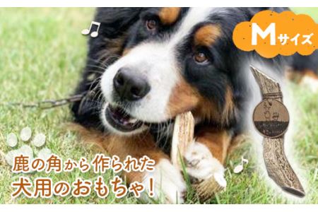  シカのおとしもの キミのたからもの（Mサイズ） ( ふるさと納税 犬のおもちゃ ペット用品 エゾ鹿 ハンドメイド 100％自然由来 手作り 北海道 遠軽町 アトリエたねまき ) en01-00164