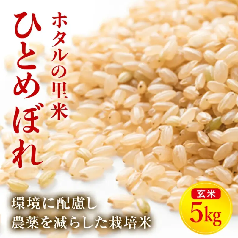 令和8年産 新米【ホタルの里米】環境に配慮し農薬を減らした栽培米 ひとめぼれ玄米5kg 米 お米 おこめ ご飯 ごはん 福島県 西会津町  F4D-2316