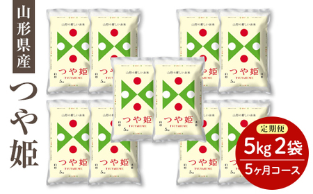 令和7年度産米 【定期便】県産米つや姫10kg×5か月コース F2Y-4537