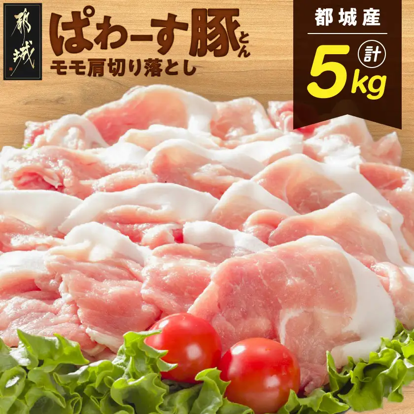 「ぱわーす豚」モモ肩切り落とし5kg〔18-6404〕_(都城市) 都城産豚肉 豚モモ肩切落とし肉 250g 20パック 計5kg ブランドポーク 真空パック 小分け