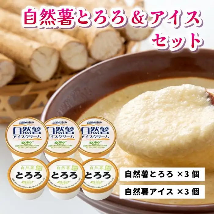 とろろ アイスクリーム 2つを混ぜると大福味に 高原の恵み セット 6個入り 自然薯 詰め合わせ 野菜 アイス スイーツ デザート　029001