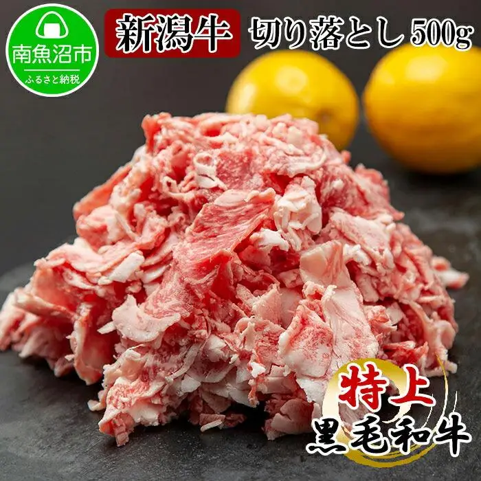 新潟牛 南魚沼産 にいがた 黒毛和牛 切り落とし 500ｇ