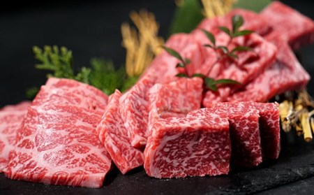 Y134 鳥取和牛 赤身＆霜降り焼肉用切り落とし