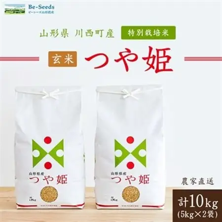 令和7年産　山形県産　つや姫　玄米　10kg_米 こめ 玄米 つや姫 特別栽培米 山形県 ブランド米 産地直送 人気 おすすめ 贈答 ギフト プレゼント 送料無料 お取り寄せ お米 ごはん_【1144539】