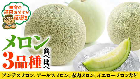 メロン 食べ比べ セット【7月発送開始】