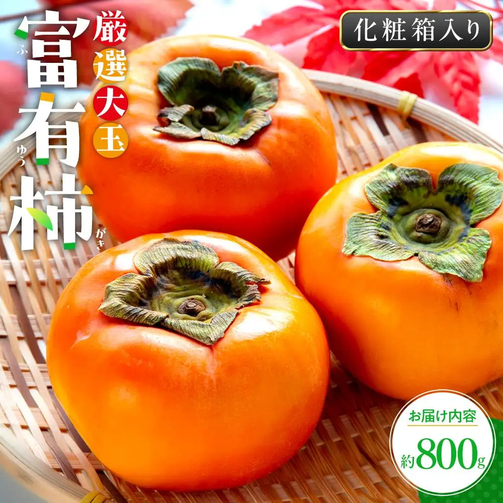 厳選大玉 富有柿 化粧箱 約800g【2026年10月下旬～2026年12月中旬配送】