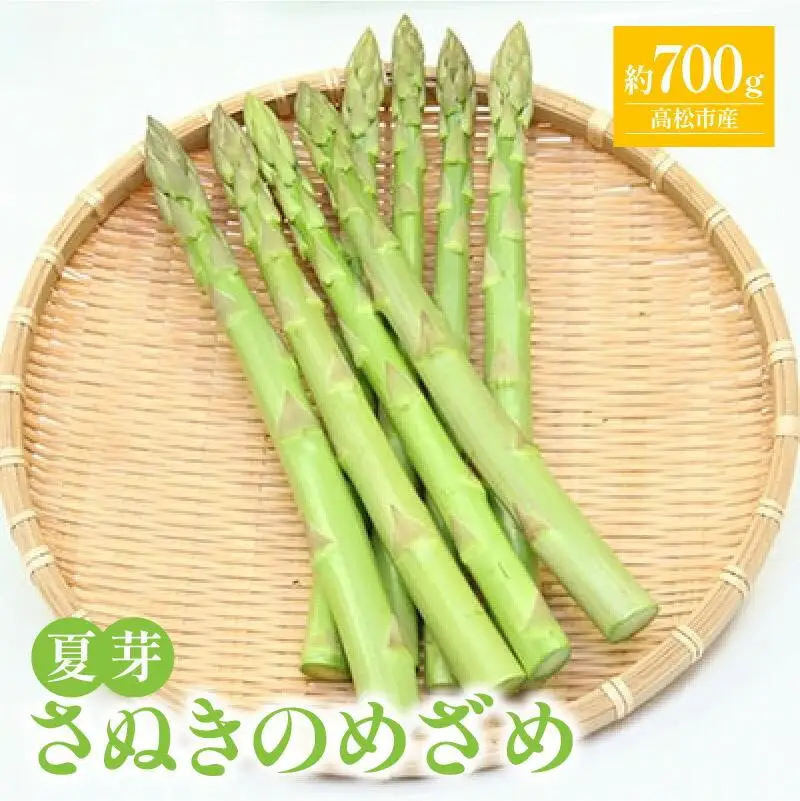 さぬきのめざめ 夏芽 約700g アスパラガス【2026-6月上旬～2026-11月上旬配送】